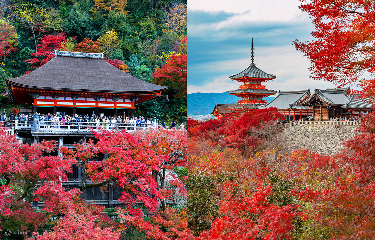 京都三大名所一日游】 世界文化遺産 金閣寺（鹿苑寺）&清水寺 祈福&二